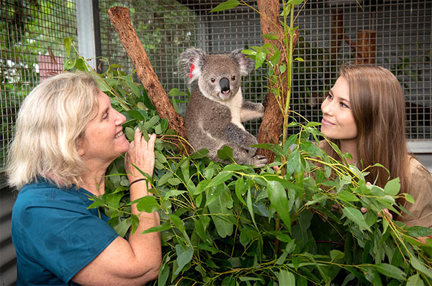 two women and a koala bear